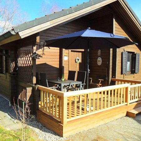 Komfortables-Ferienblockhaus-Nr-27-56-Qm-Bis-4-Personen-Viechtach-Jaegerpark מראה חיצוני תמונה